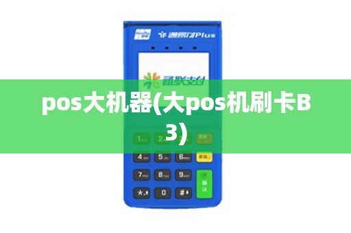 pos大机器(大pos机刷卡B3)