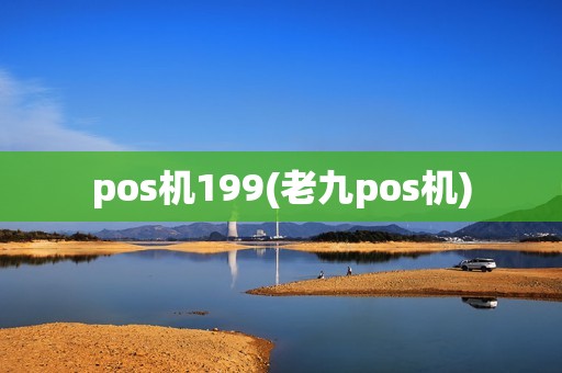 pos机199(老九pos机)