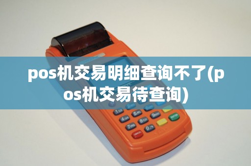 pos机交易明细查询不了(pos机交易待查询)