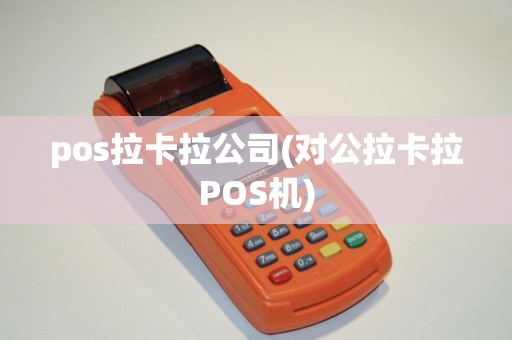 pos拉卡拉公司(对公拉卡拉POS机)
