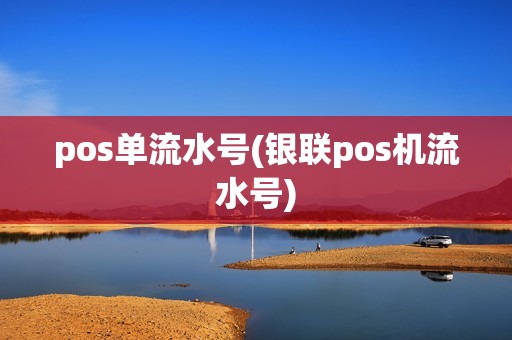 pos单流水号(银联pos机流水号)