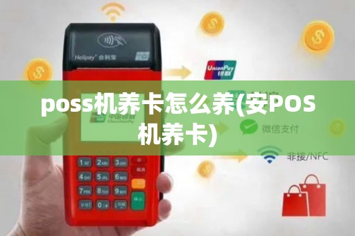 poss机养卡怎么养(安POS机养卡)