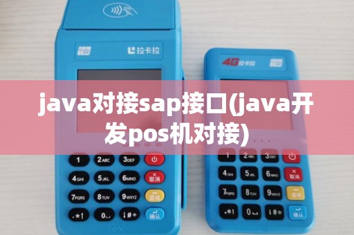 java对接sap接口(java开发pos机对接)