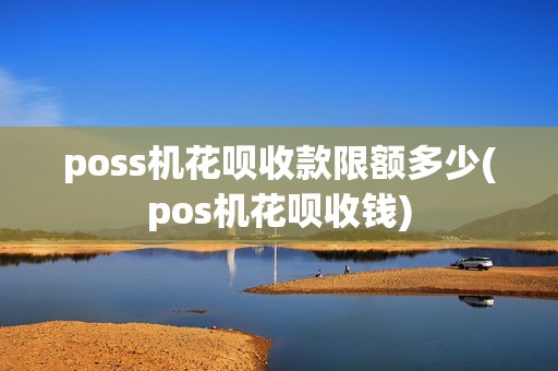 poss机花呗收款限额多少(pos机花呗收钱)