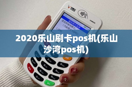 2020乐山刷卡pos机(乐山沙湾pos机)