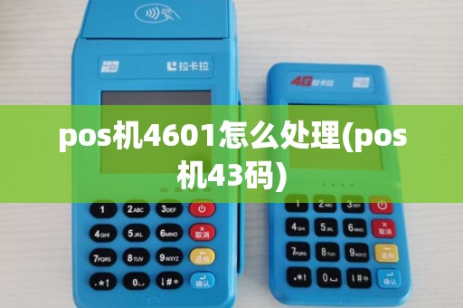 pos机4601怎么处理(pos机43码)