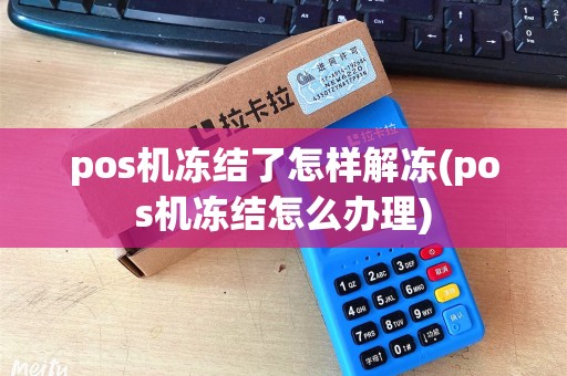 pos机冻结了怎样解冻(pos机冻结怎么办理)