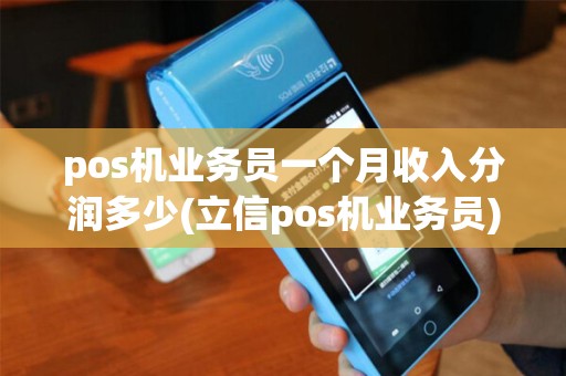 pos机业务员一个月收入分润多少(立信pos机业务员)