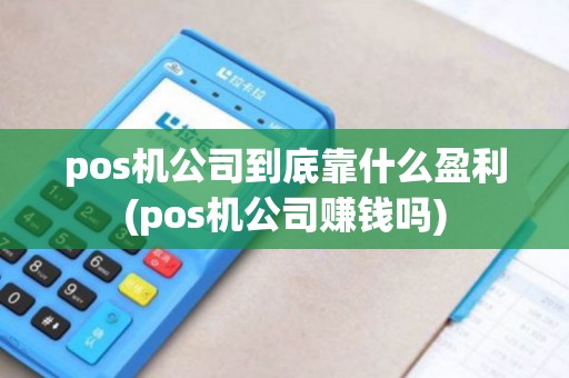 pos机公司到底靠什么盈利(pos机公司赚钱吗)
