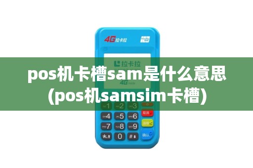 pos机卡槽sam是什么意思(pos机samsim卡槽)