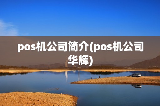 pos机公司简介(pos机公司华辉)