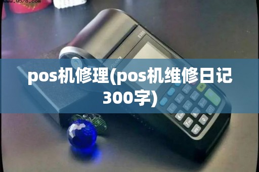 pos机修理(pos机维修日记300字)