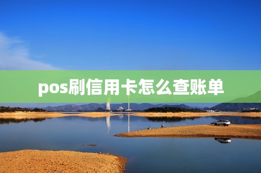 pos刷信用卡怎么查账单