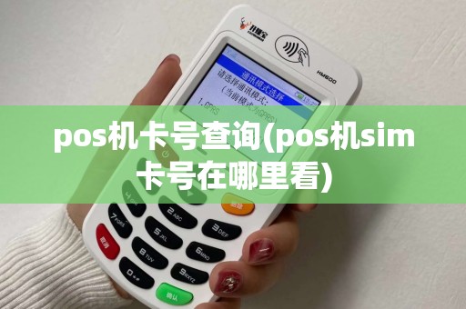 pos机卡号查询(pos机sim卡号在哪里看)