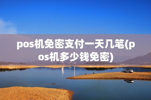 pos机免密支付一天几笔(pos机多少钱免密)