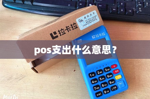 pos支出什么意思？
