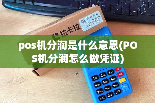 pos机分润是什么意思(POS机分润怎么做凭证)