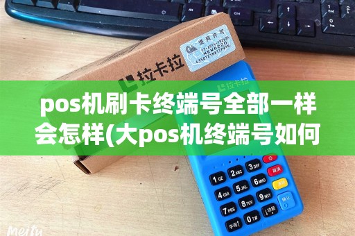 pos机刷卡终端号全部一样会怎样(大pos机终端号如何改变)