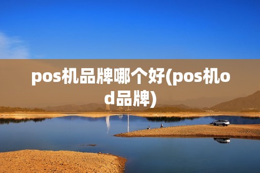pos机品牌哪个好(pos机od品牌)