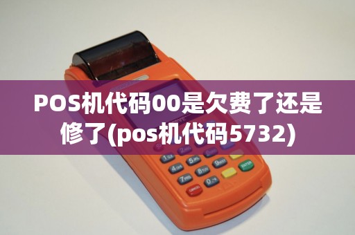 POS机代码00是欠费了还是修了(pos机代码5732)
