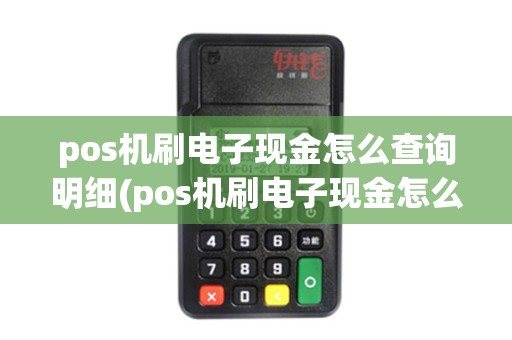 pos机刷电子现金怎么查询明细(pos机刷电子现金怎么查询)