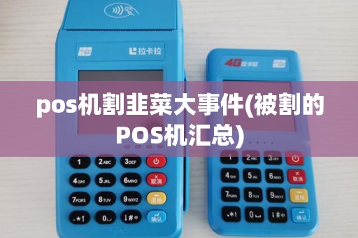 pos机割韭菜大事件(被割的POS机汇总)