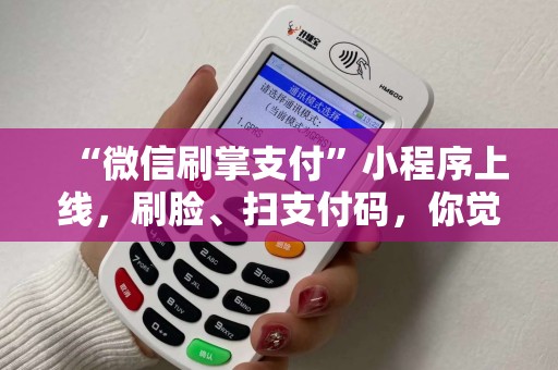 “微信刷掌支付”小程序上线，刷脸、扫支付码，你觉得哪个最实用？