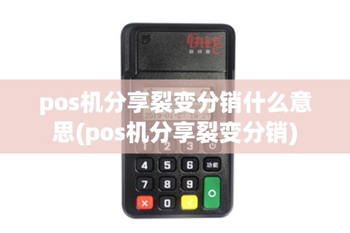 pos机分享裂变分销什么意思(pos机分享裂变分销)