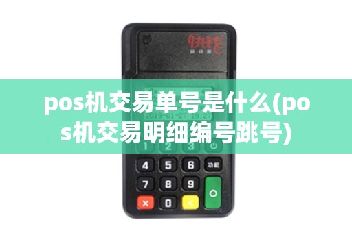 pos机交易单号是什么(pos机交易明细编号跳号)
