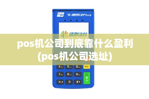 pos机公司到底靠什么盈利(pos机公司选址)