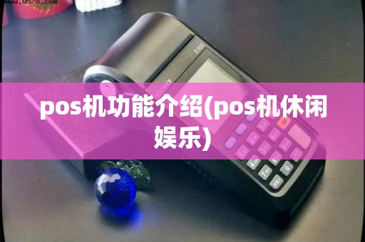 pos机功能介绍(pos机休闲娱乐)