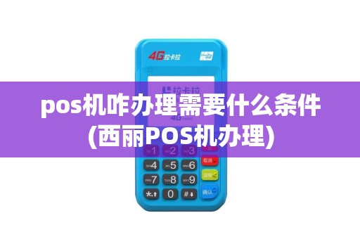 pos机咋办理需要什么条件(西丽POS机办理)