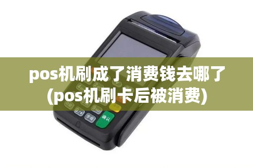 pos机刷成了消费钱去哪了(pos机刷卡后被消费)