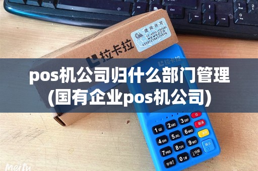 pos机公司归什么部门管理(国有企业pos机公司)