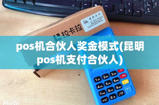 pos机合伙人奖金模式(昆明pos机支付合伙人)