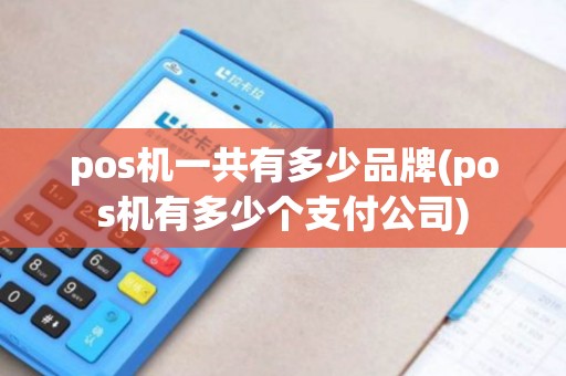 pos机一共有多少品牌(pos机有多少个支付公司)