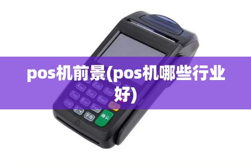 pos机前景(pos机哪些行业好)