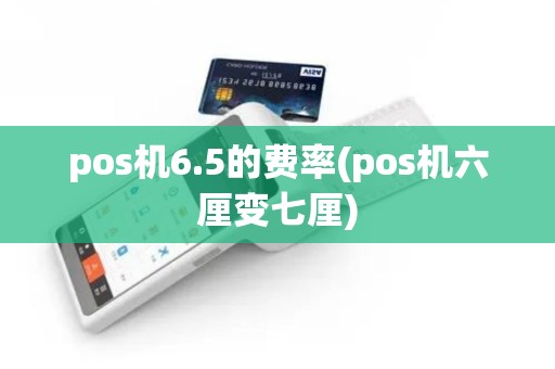 pos机6.5的费率(pos机六厘变七厘)