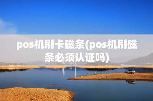 pos机刷卡磁条(pos机刷磁条必须认证吗)
