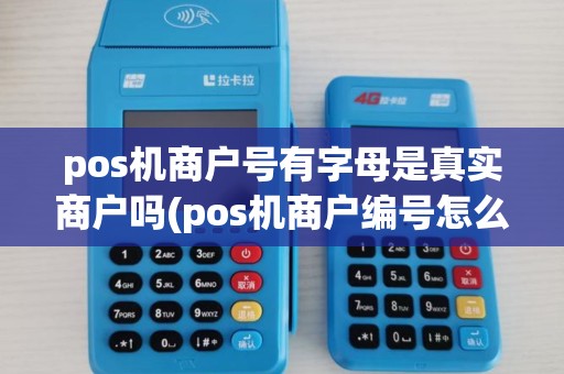 pos机商户号有字母是真实商户吗(pos机商户编号怎么注册)