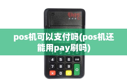 pos机可以支付吗(pos机还能用pay刷吗)