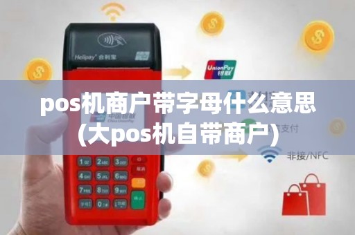 pos机商户带字母什么意思(大pos机自带商户)