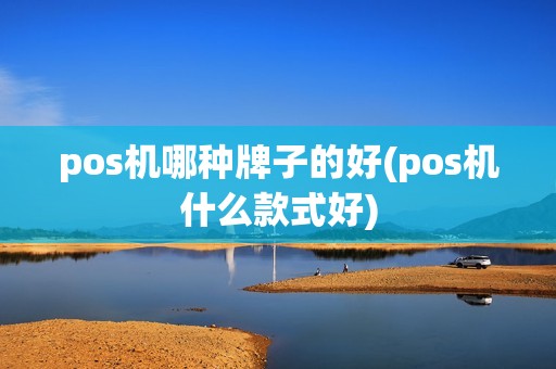pos机哪种牌子的好(pos机什么款式好)