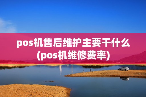 pos机售后维护主要干什么(pos机维修费率)