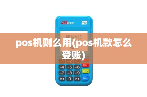 pos机则么用(pos机款怎么登账)