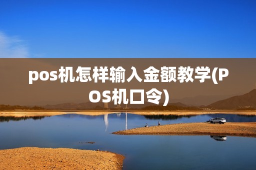 pos机怎样输入金额教学(POS机口令)