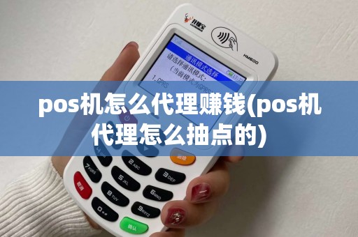 pos机怎么代理赚钱(pos机代理怎么抽点的)