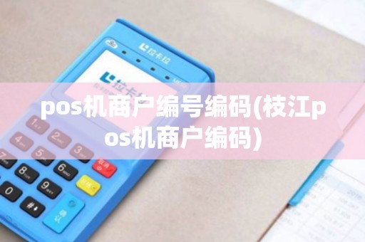 pos机商户编号编码(枝江pos机商户编码)
