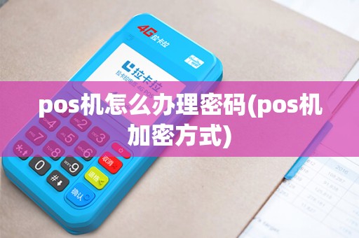 pos机怎么办理密码(pos机加密方式)