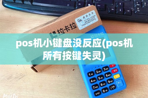 pos机小键盘没反应(pos机所有按键失灵)